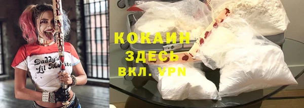 крисы Алзамай